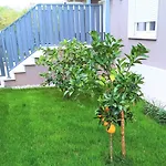 Lemon3 Deluxe Daire
