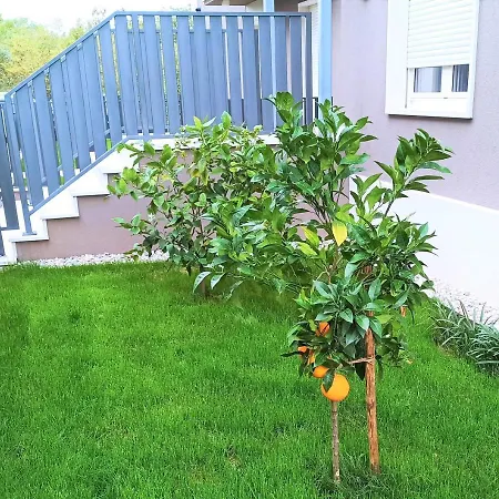 Lemon3 Deluxe Apartman